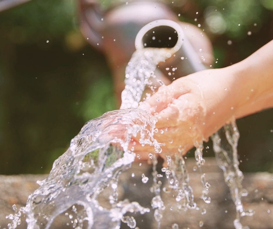 mémoire de l'eau